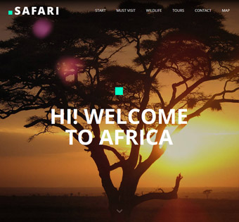 splash_home_safari